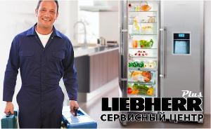 Ремонт и сервис холодильников Либхер в Талдоме на дому rh00123082018.jpg
